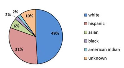 Figure 2: Student demographics by ethniticy in NMSUs Engineering Physics program. 